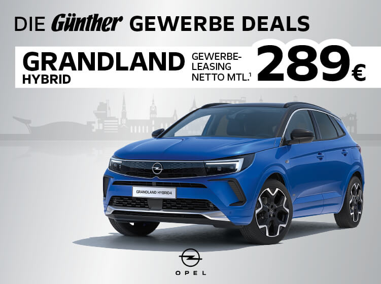 Gewerbedeal: Der Opel Grandland