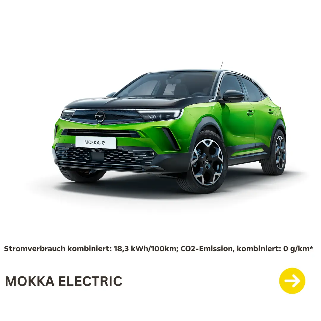 Modell Mokka Electric